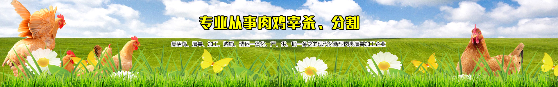 这是描述信息