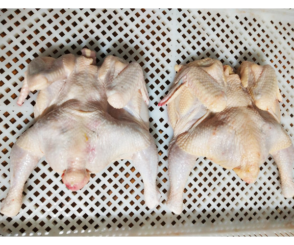 西装鸡