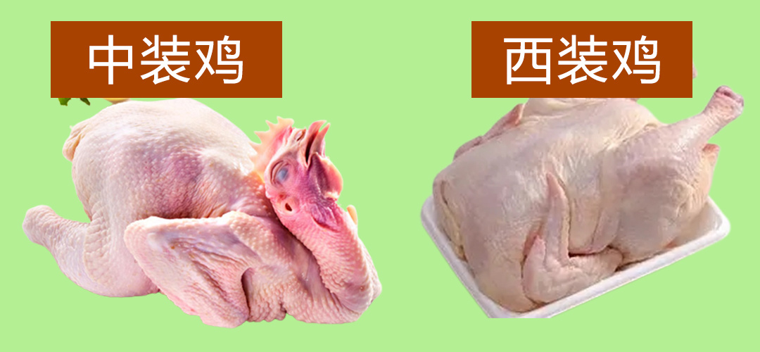 西装鸡与中装鸡的区别|西装鸡名字的由来